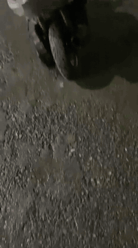 السلام عليكم دراجه ماكس بومه للبيع دراجه كهربائيات جديد هورن لايت امامي خلفي نكره سلف تيرات جدد صالنصه توبو كاربون فايبر الدراجه كلشي مابيها  تشغل وتطلع نكره سلف 
العنوان / كركوك حي عدن 
الرقم / *********** 
السعر / ١٨٥
