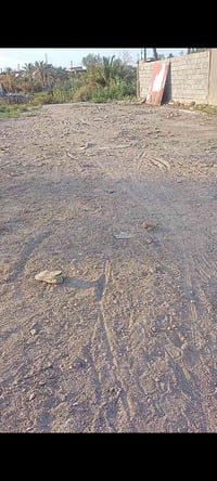 باب الهوى ام البنين • ١٢٠م • سند ٢٥