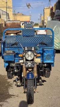 ستوته دايوان • موديل 2020 • كوت الزهراء