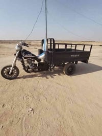 ستوته • موديل 19 • نجف خان النص