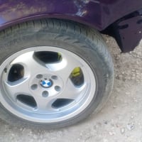 شباب ويل ام البيع او مراوس 17 مكفول من فطر والعواج 07713101154
