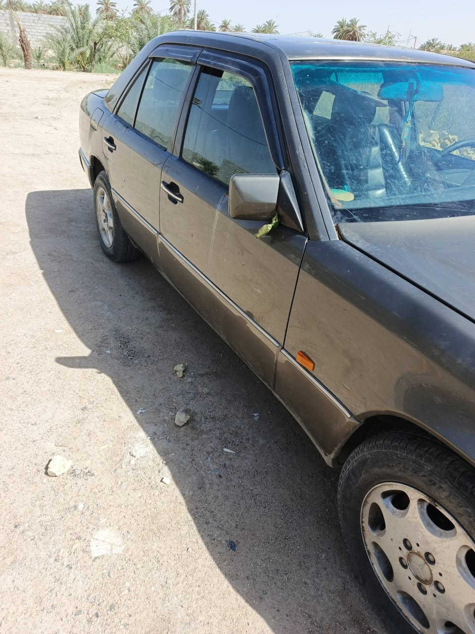 دب للبيع او مراوس بطة البصره الدير رقم الهاتف ***********
