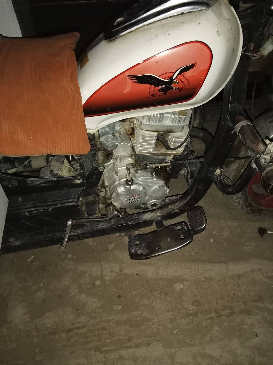 يا الله عمي سلام عليكم ستوتة لبيع 2021 وراق صولية ستوتة مجفتة جديد شقل وطلع الشارع؟ سعر 1600 وبيهة مجال حك الجية مكان بعقوبة الرحمة يم جامع صهيب الرومي


**إذا كنت صاحب هذا الإعلان وتريد حذفه لأي سبب، رجاءا أرسل رسالة إلى الدعم الفني**