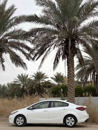 فورتي • ٢٠١٨ • بدون صبغ