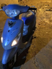 ماكس منغولي • نضيفه • قرب شجره ادم