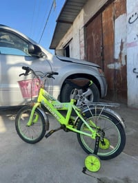 باسكل • حجم ١٦ • بريكات شغالة