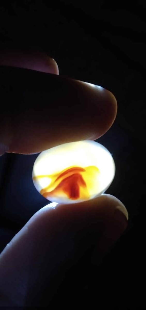 ‎عقيق يماني تحفه مصور شخص داخل خيمه شرط الفحص‎ ناصرية, ذي قار


**إذا كنت صاحب هذا الإعلان وتريد حذفه لأي سبب، رجاءا أرسل رسالة إلى الدعم الفني**