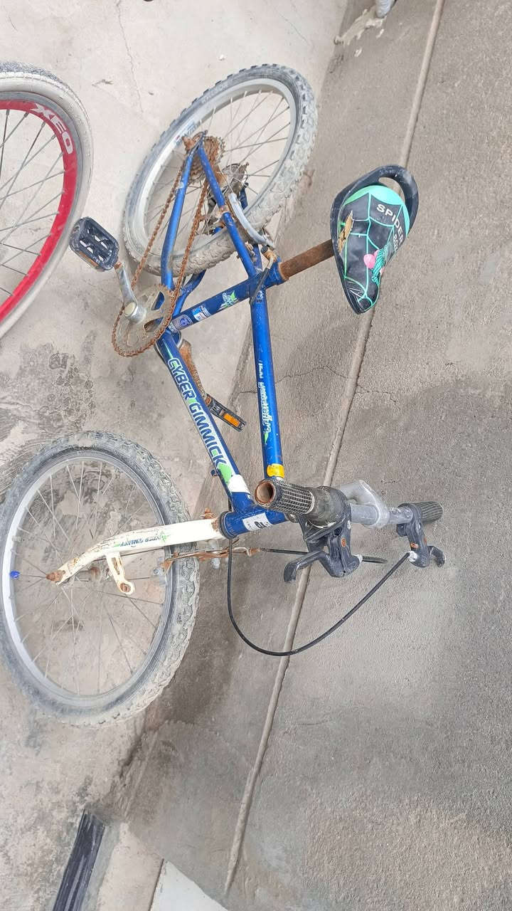 سلام عليكم بيسكلات 2للبيع ثنينهن ياباني كلشي شغال بيهم ماناقصهن شي السعر الابيض 45 والثاني الزغير 25


**إذا كنت صاحب هذا الإعلان وتريد حذفه لأي سبب، رجاءا أرسل رسالة إلى الدعم الفني**