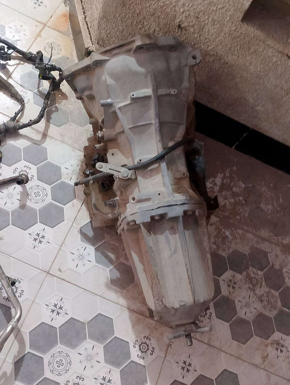 للبيع كلمن وسعره ***********
