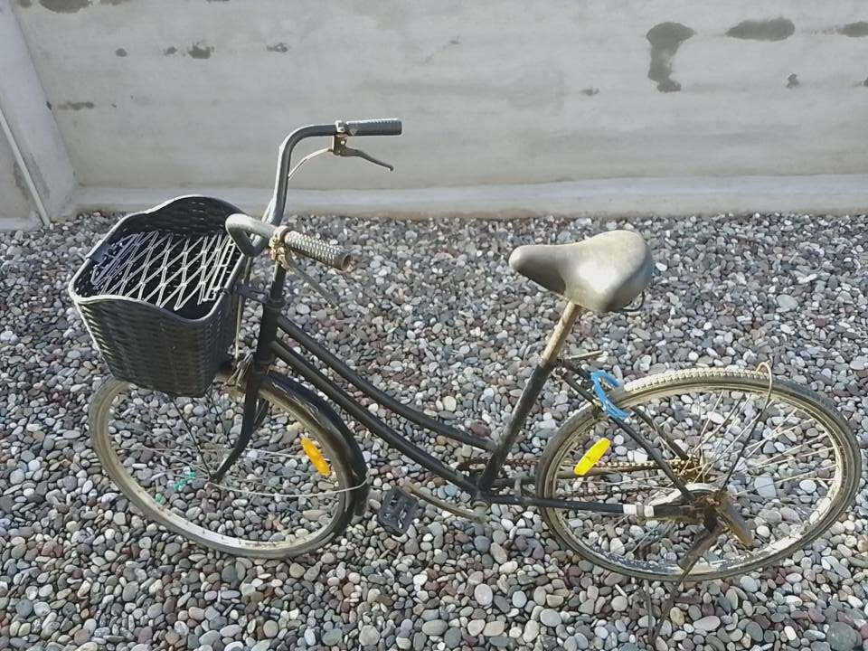 السلام عليكم
بوسكل للبيع 

رقم الواتساب: ***********
