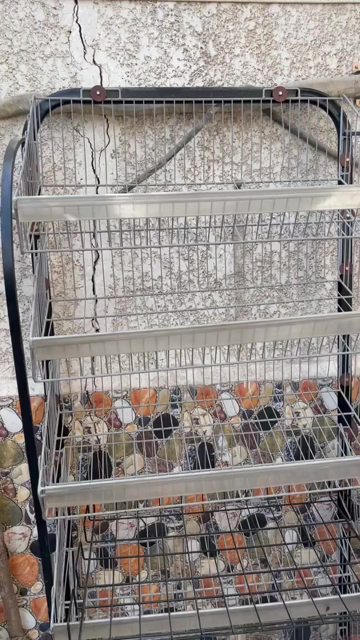 سلام عليكم للبيع مكاني بغداد المشتل متواجد على ماسنجر و هذا رقمي ***********
