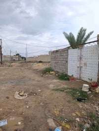 حي غازي • ٢٠٠م • سند ٢٤