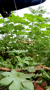 للطلب والاستفسار 07818760158