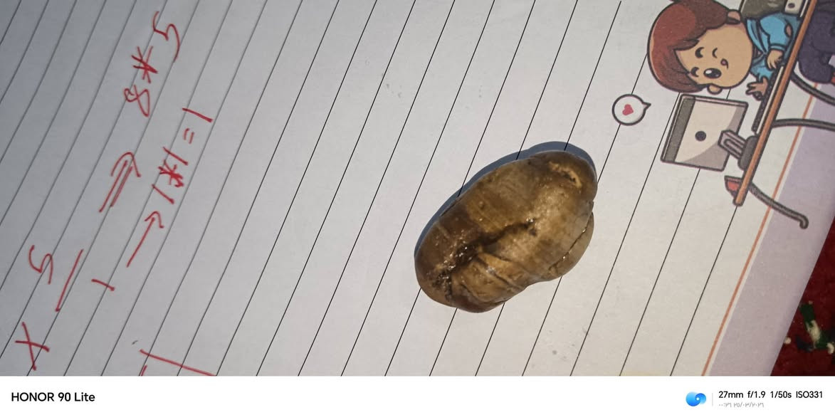 سلام عليكم


**إذا كنت صاحب هذا الإعلان وتريد حذفه لأي سبب، رجاءا أرسل رسالة إلى الدعم الفني**