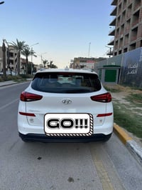 فول مواصفات • ٢٠٢٠ • رقم بغداد