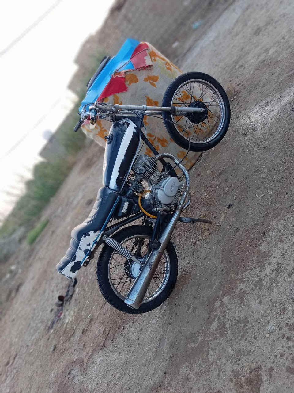 البيع دراجه جاهزه حلوه محرك و شاصي مكفول و سعر خاص 🩵👉🏻👉🏻


**إذا كنت صاحب هذا الإعلان وتريد حذفه لأي سبب، رجاءا أرسل رسالة إلى الدعم الفني**