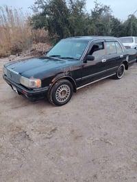 ارنب • ١٩٩٥ • سوق الشيوخ العكيكة