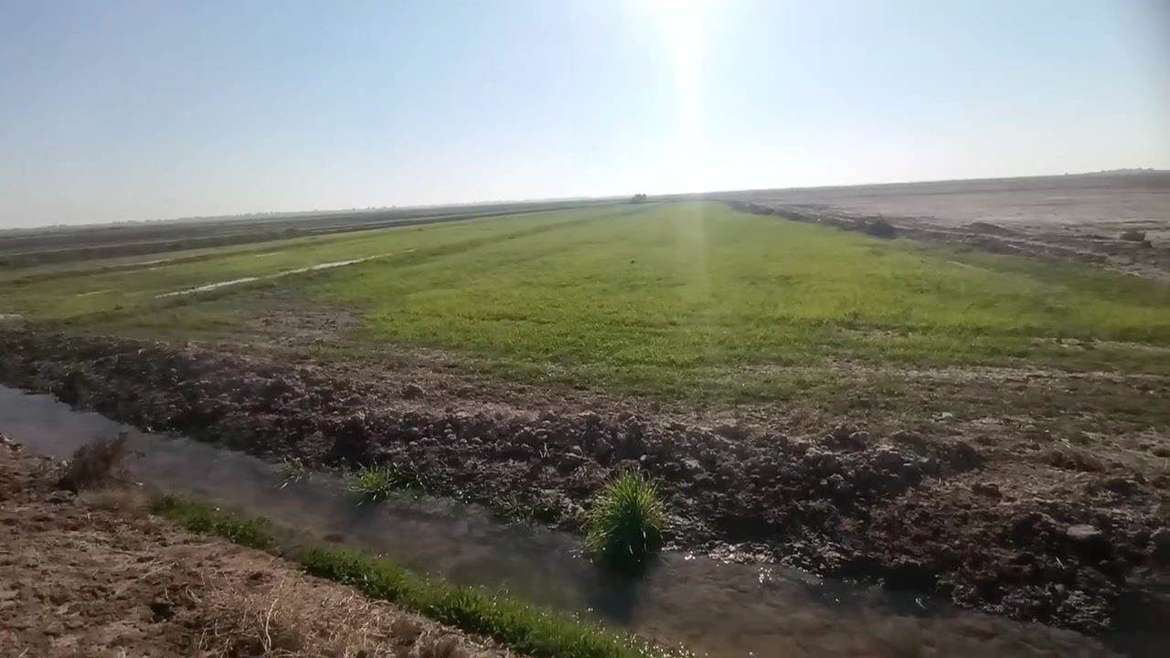 ارض زراعيه للبيع 8دونم 
قرب مدرسة الرزاق على طريق
ساده الخوان ***********
