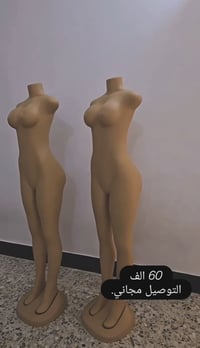 ملكانات • توصيل مجاني • جميع المحافظات