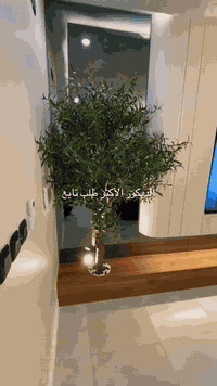 العنوآن 📍
فرع -المنصور ساحة اللقاء مجاور سنابل الطاحونه 
***********

فرع-شارع فلسطين مقابل مول النخيل
***********

فرع الحلة -محاويل 
***********
⁩⁩⁩⁩⁩⁩⁩⁩⁩⁩⁩
