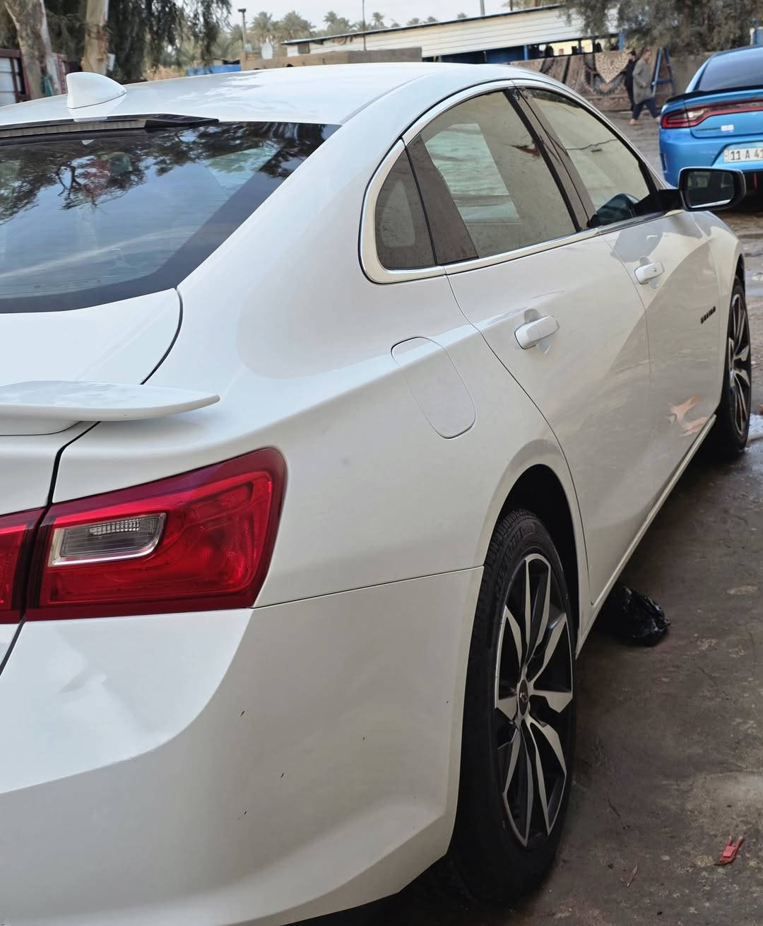 السلام عليكم
ماليبو وارد امريكي
فئه Rs 2023
رقم اربيل  الانكليزي شرط التحول او الوكاله
شاشه كبيره تدعم الكار بلي
تحديد سرعه 
تحديد مسار 
قياده ذاتيه 
ماشيه ٢٠
جناح شركه 
ويل 18 
تحكمات استيرن 
ثلاث انطمه قياده 
صور الحادث بلمنشور 
السعر 135  

رقم الهاتف ***********
