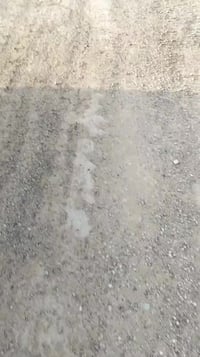 بعقوبة • ١٠٠م • زراعي سند