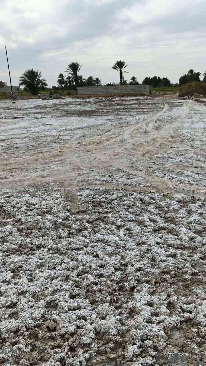 السلام عليكم دونم للبيع مكون من قرفتين واستقبال وصالة مطبخ الموقع قرب ملعب السنبلة متوفرماء وكهرباء السعر خاص راسل اوتصال علىالرقم ***********
