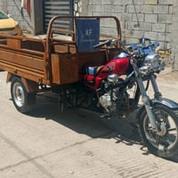 ستوته • صقر • ٢٠١٩