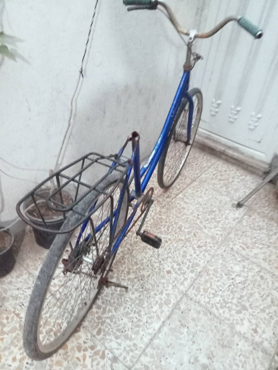 متاح اثنينهن ب 40


**إذا كنت صاحب هذا الإعلان وتريد حذفه لأي سبب، رجاءا أرسل رسالة إلى الدعم الفني**