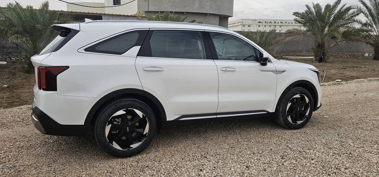 السلام عليكم سورنتو 2024  مكفولة كفاله عامه ماعده بارد  بالبنيد  قليل كلش مقدار  اشبر 

مواصفات
كير موس
جنطه كهرباء
كراسي كهرباء عدد 
افيكيشن
تشغيل عن بعد
محرك 6V
شفتات ستيرن
بعد بيه مواصفات
 
رقم مبايل  
     ***********

السعررررر 305 وبيها مجال للطيبين
