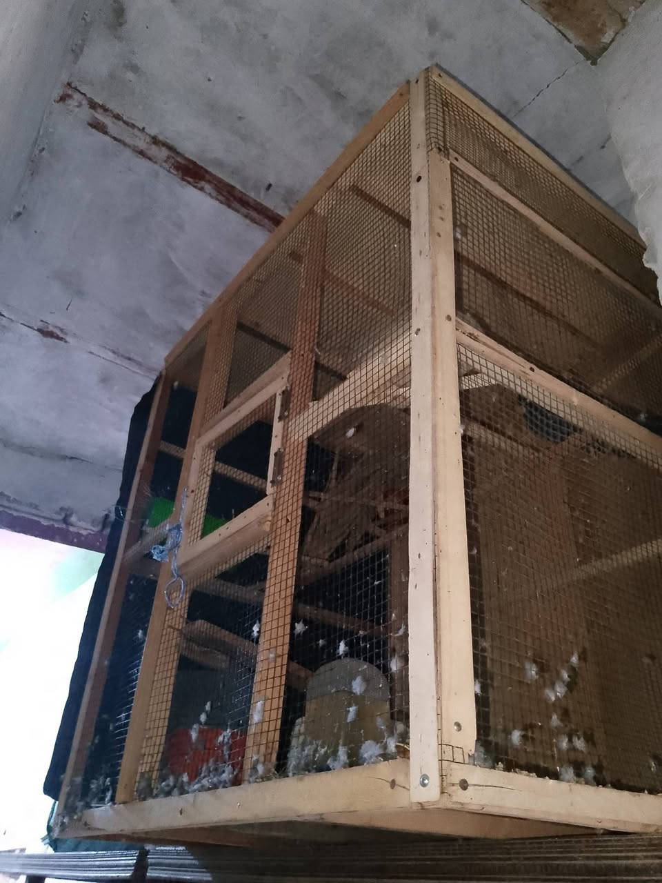 خانه ام 3 ب 25 قفص ب 25 اخشاب ومعاكس ب 10 بيعا وحده مكاني كرمه علي حي الرساله ***********
