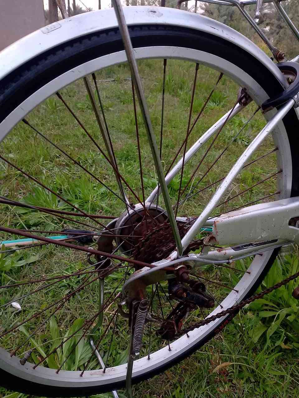 العنوان. بابل جامعة بابل اقرب نقطة داله مدرسة الشيماء للبنين 
الرقم. ***********
