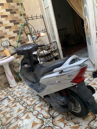 V2 • فحل • مكينة شرط