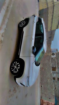 شفر اجروف • ٢٠٢٣ • وارد خليجي