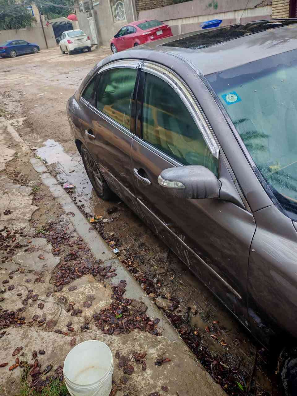 سلام عليكم ازيزه 2007  السياره لمتد فول مواصفات مصبوغه عام أثر طخطخات حادث جاملغ وبنين نفسن مصلحات بدون تبديل كير كايم محرك بي تبخير رقم بغداد سعل 60ورقه ***********
