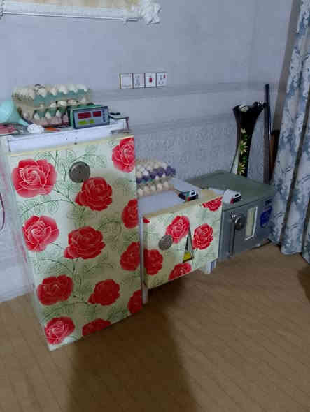 ابو امير لصناعة المفاقس 
للحجز والاستفسار اتصل على *********** 
 ***********
