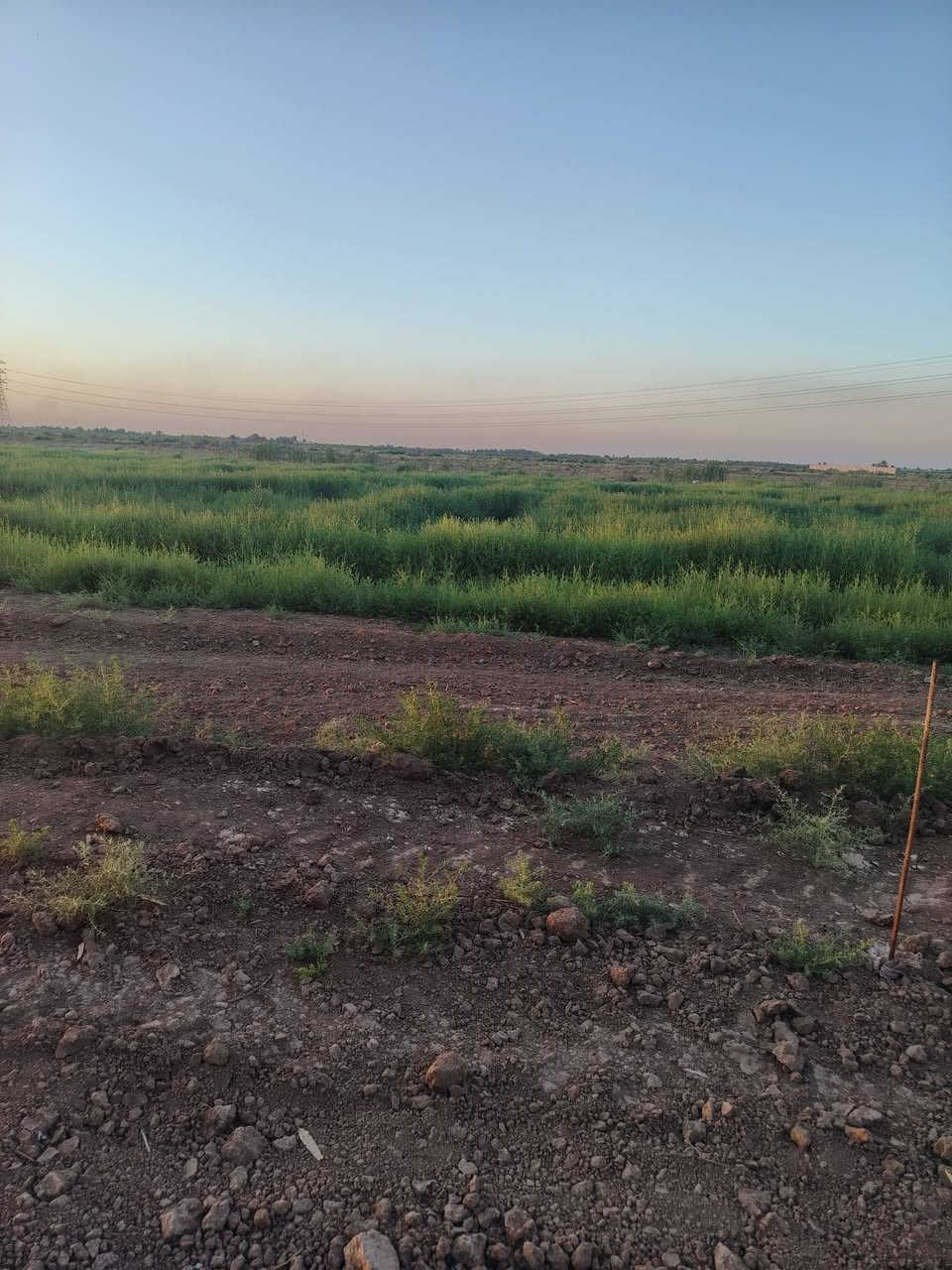 دونم  طابو سند ٢٥
الواجه ٣١متر     عرض الشارع 10 أمتار   ماء + طريق سبيس
الطريق سالك من الجهتين
للاستفسار
***********
***********
