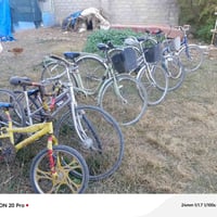 بوسكلات ياباني أصلي • الشركاط الخضرانيه