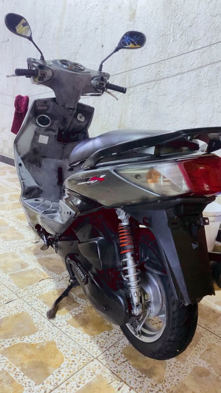 سكنس فحل للبيع سعر مليون وميه مكان ميسان مغربه ‭***********‬
