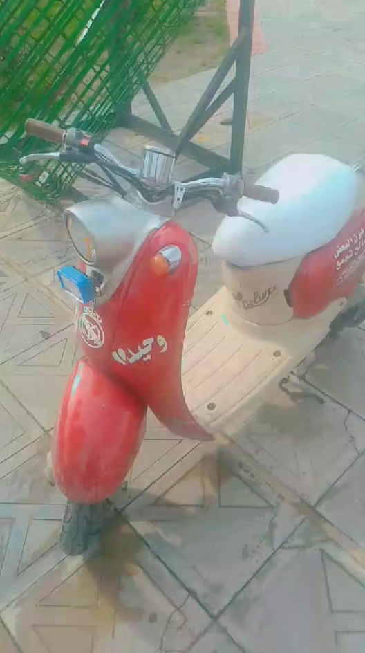 مأطور عبد الحليم نضافة فول معمر مرة واحدة تحريكه معدل سعر خاص او اتصال عل رقم ***********
