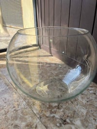 كاسات بلول • ٩ قطع • حوض سمك