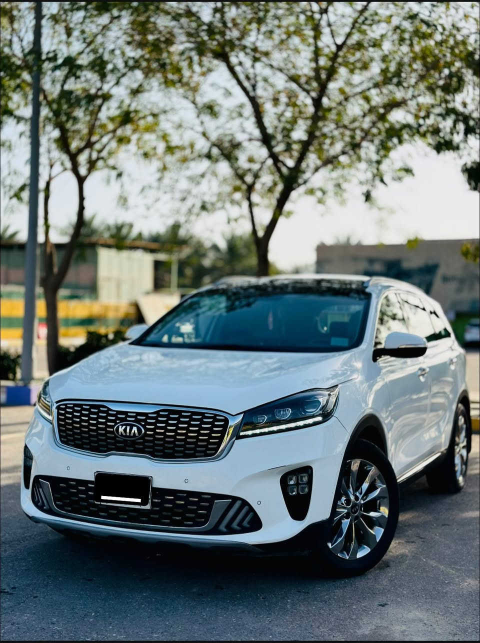 سورنتو 2020 جيتي لاين 
خليجي رقم بغداد كفاله عامه
ماشيه 51 الف السيارة جديده لوك
. المواصفات موضحه بـ الصور 
بانوراما
.بصمه تشغيل وابواب
.لدات اماميه خلفيه
.حساسات اماميه خلفيه
.لايت زنون عالي ناصي
.شاحن واير لس 
.5 كامرات 360
.كراسي كهرباء
.كراسي جلد تدفئه تبريد 
.تبريد 3 قطع
.محرك 6 سلندر 3500 كير 8 نمر
.كروز سرعه
.فول تحكم ستيرن 
.سبعه راكب
.ويل كب نيكل اصلي 5 قطع
.ترحيب عند الأقتراب 
.يدات نيكل
.جنطه كهرباء ذكيه(الفتح عند الأقتراب)
.مري شفط / اشاير بالمري
.بردات بلاديه 
.شاشه كبيره اصليه بيها نضام ابل كار بلي
.انضمة قياده Eco Sport Cimfort Smart
.كشافات ضباب
.اي استفسار الاتصال ع الرقم
***********
السعر 270 وبيه مجال قليل
 مكان السياره بابل
