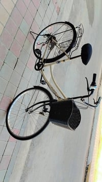 باسكل ياباني • مقاس 27 • داينمو امامي