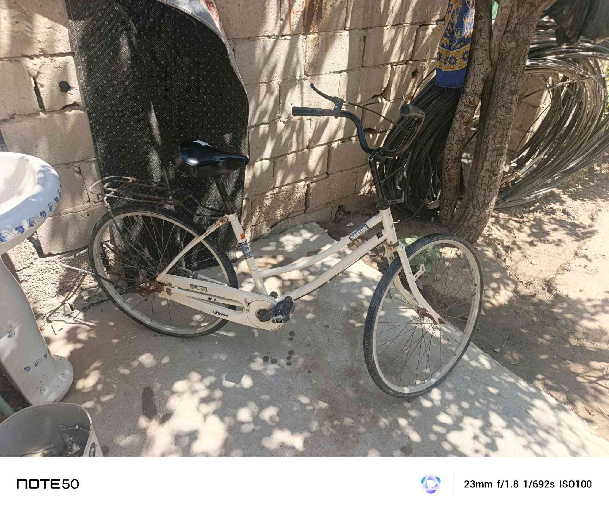 باسيكل للبيع ٨٠ وبيه مجال مكان بابل الكفل 
***********

