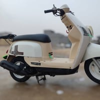 بوليسي نوزل • نضيفه • ختم واحد