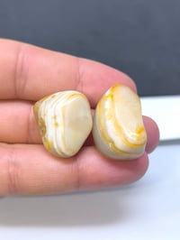 معطفات سليمانية • حيل راقية • سعر خاص