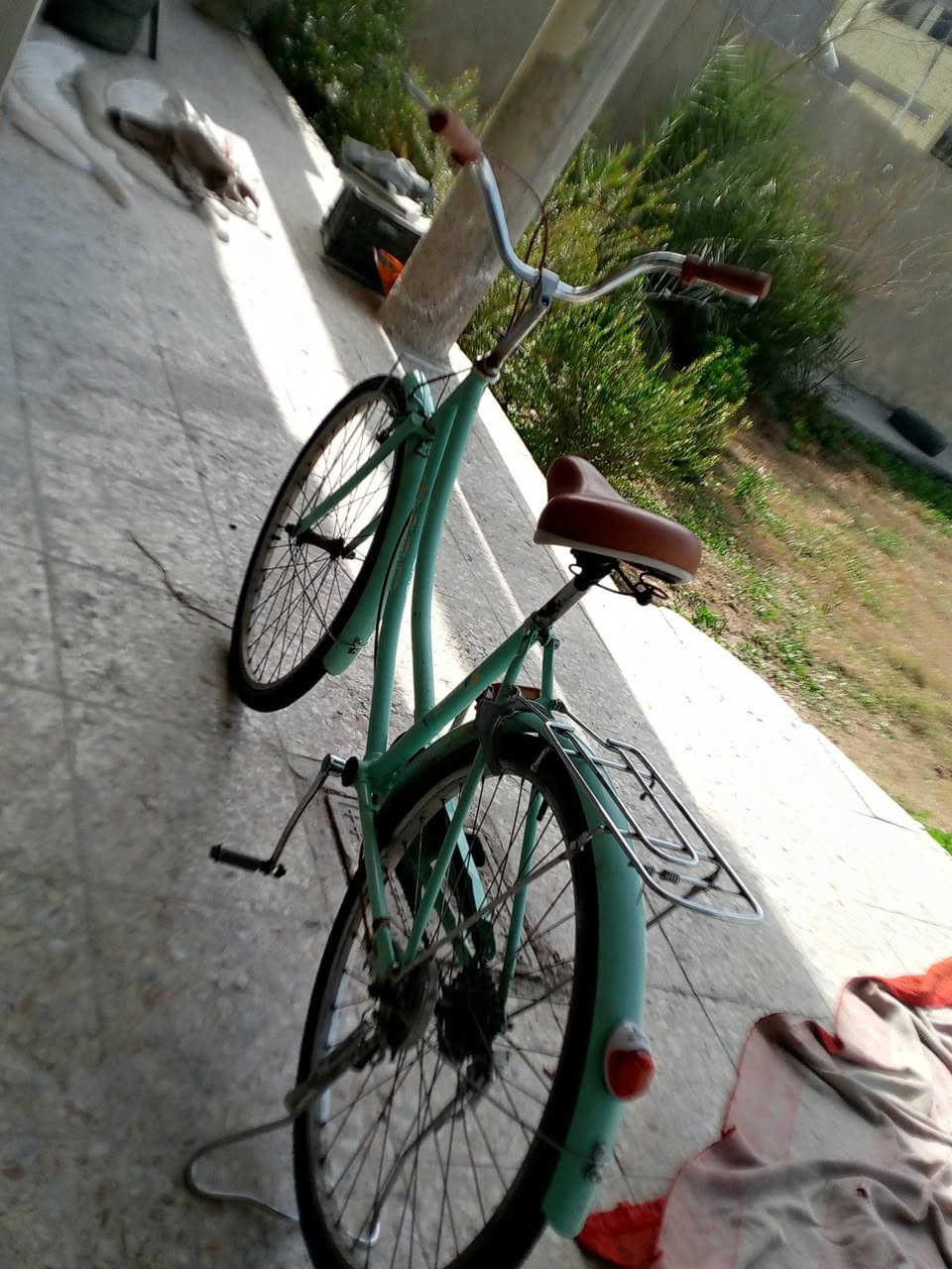 السلام عليكم ورحمة الله وبركاتة  عندي باسكل حجم 24 نضافة فول مواصفات برك خلفي تايرات جدد مابي اي شي عنواني بغداد مدينة الصدر السعر 70وبي مجال الرقم للستفسار ***********بس واتساب  فقط فقط واتساب
