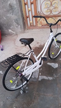 باسكل • للبيع • أبيض