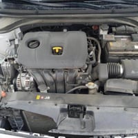 إلانترا • ٢٠١٩ • أمريكي أربيل