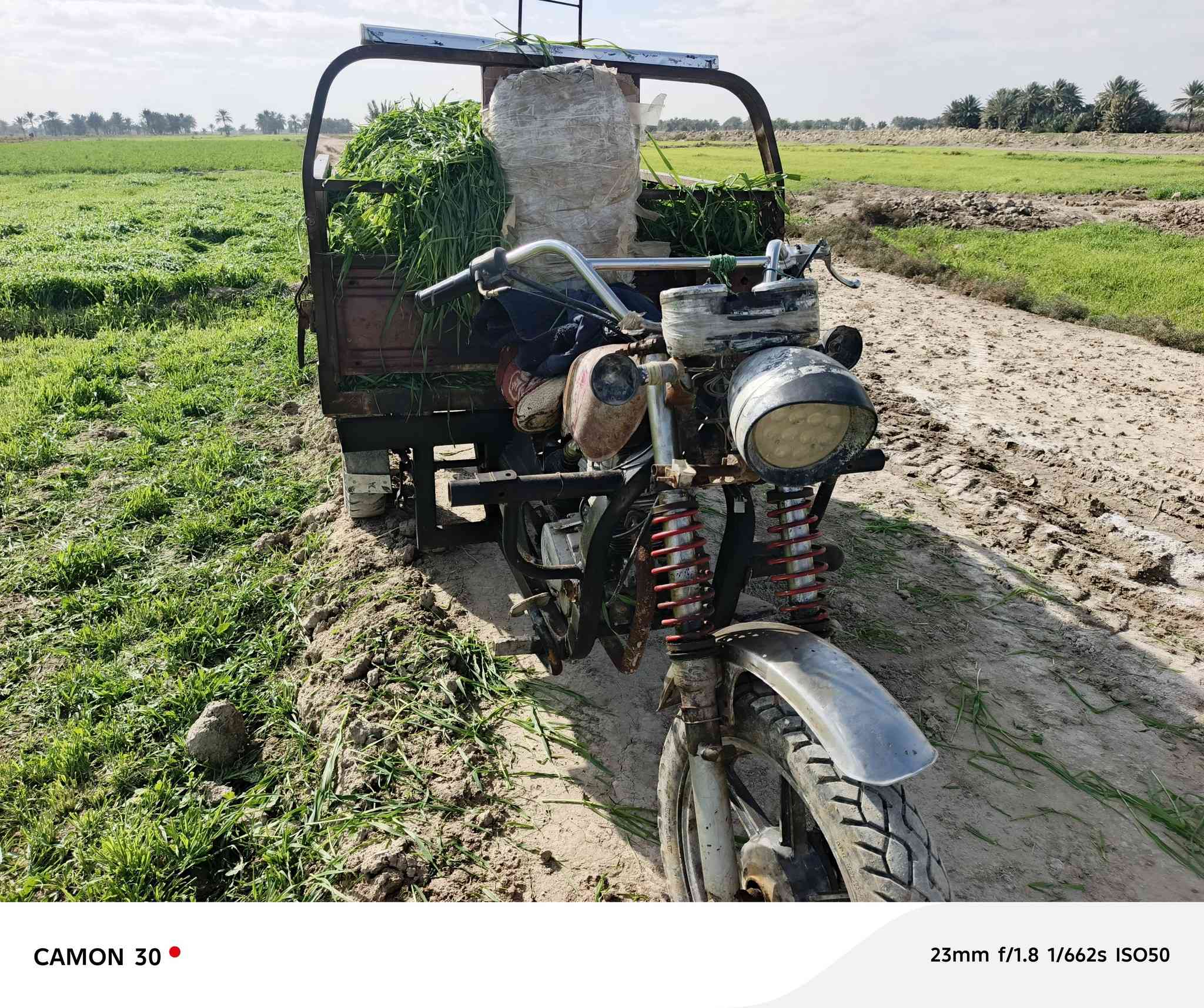 سلام عليكم ستوته البيع كلك مانقصها شي في شنافيه ***********
